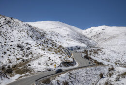 New Zealand 2025 (1 group) (56/66)